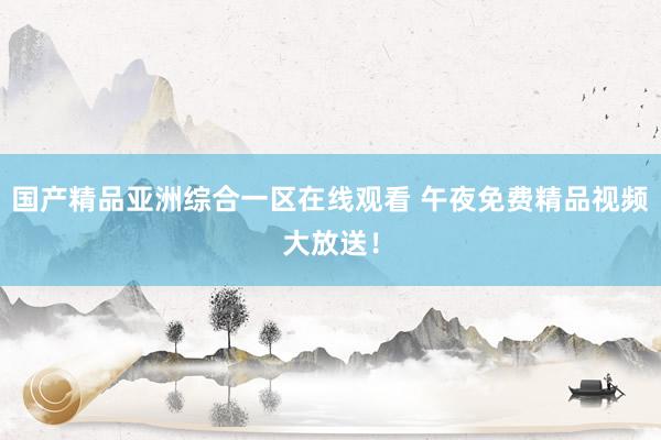 国产精品亚洲综合一区在线观看 午夜免费精品视频大放送！